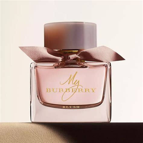 burberry cologne review|which burberry perfume smells best.